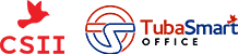 CSII INDIA PRIVATE LIMITED logo
